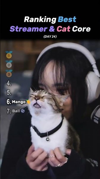 Ranking Best Streamer & Cat Core Moments!! 🐱🎮