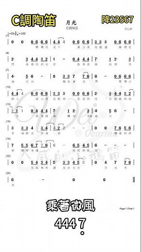 王心凌《月光》陶笛版｜讓音樂替你說想念|音樂袋著走|陶笛教學|ocarina|大威的小鵝笛#王心凌 #月光 #陶笛演奏 #溫馨音樂 #療癒旋律 #回憶的聲音 #Ocarina #心靈音樂