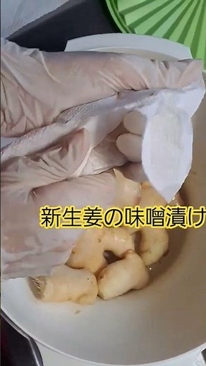 新生姜の味噌漬け#生姜#味噌#プルーン#生姜は下ごしらえして半日干して味噌をつけて冷蔵庫で保存