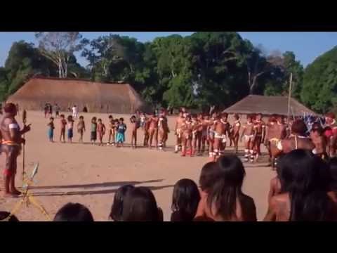 People's Lifestyles in The Amazon River Jungle Documentary