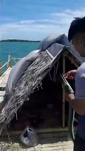 mantap dapet babon ikan cendro bagan tanjung kait😁