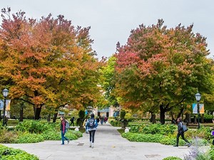 Coronavirus: IL Colleges Move Online, Extend Spring Break