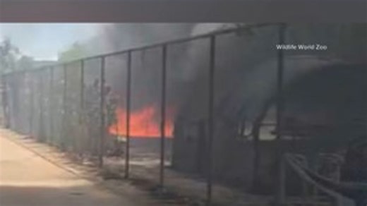 Zookeepers keep fire from spreading toward animals