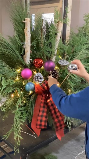 How to Make Luxury Christmas Planters with Magenta Magic that Glow! Bringing a touch of magenta magic to the holidays ✨ These Christmas planters glow beautifully with soft lights and rich magenta accents—perfect for adding sophistication to any entryway Be the first to know—follow us now! To watch in YouTube click the link at comment section. ⬇️ #winterarrangements #christmasplanters #christmasdecor #MagentaMagic #entrepreneur | Vilma Vil Vi