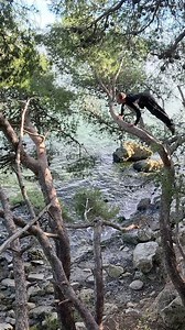 🌳 Parkour training in the trees #parkour #natural #movement #training #primal | Anthony Denis