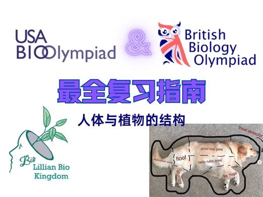 扫射难点！USABO/BBO全程详解系列：人体与植物的结构
