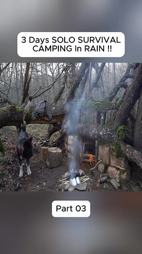 #camping #survival #capin #outdoor #solocamping