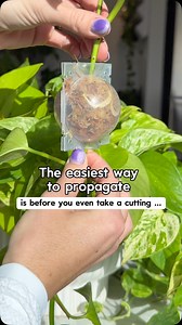 1.3K views · 196 reactions | This is BY FAR the easiest way to...