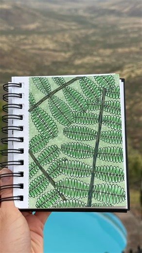 @skluni.doodles on Instagram: "I almost walked past these leaves 🍃 During a guided nature walk at Grootberg Lodge, our guide pointed out that this is a compound leaf, where many small leaflets form one larger leaf. In such a dry, rocky landscape, I didn’t expect this level of delicate detail. But Namibia keeps proving that life finds a way. Slowing down and looking closely changed how I see this place entirely. Have you ever noticed how much you miss when you don’t pause? 📍 Grootberg Lodge, Pa