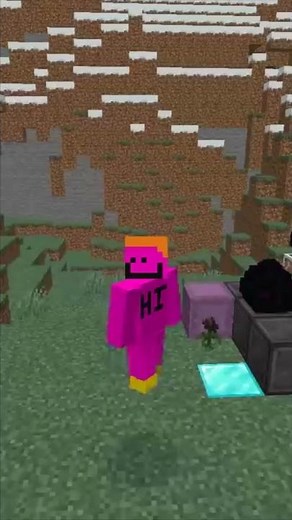 The Rarest Block in Minecraft (current)