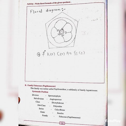 11th Biology Practical Experiment no. 6