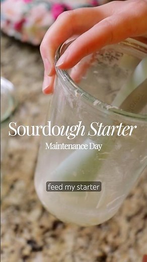Sourdough starter maintenance: crusty jar cleaned, fed, next day peak 👀 #sourdoughtips #howto