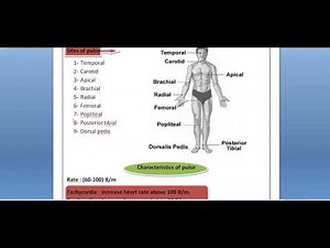 الفرقة الاولي معهد تمريض .pulse . شرح محاضرة ال