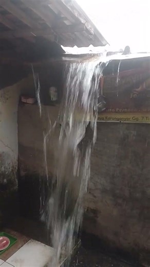 introduction to the real sound of trickling rainwater from the gutter of the house #rain #relax#asmr