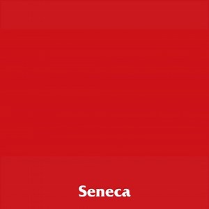 98 reactions | There’s more than one route to your future. Find your own pathway to a diploma, degree or beyond. | Seneca Polytechnic | Facebook