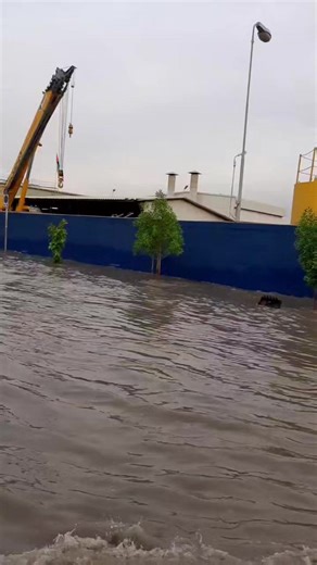 Flooded Urban Area in Dubai: Submerged Vehicles