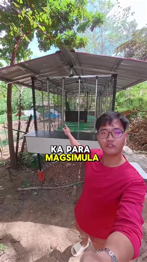 Paano gagastusin ang ₱100,000 para mag-alaga ng manok