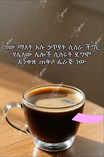 #ምርጥ #አስተማሪ #ጥቅሶች