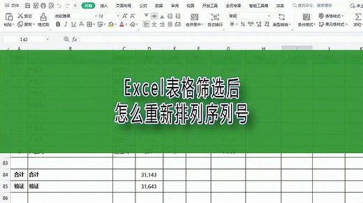 Excel表格筛选后怎么重新排列序列号，SUBTOTAL函数的应用