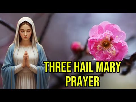 Rosary today | Three Hail Marys Prayer | Powerful Catholic Devotion for Grace & Purity