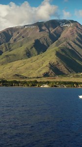 Did you know… This iconic creature’s now available on #DisneyPlusPH? ➡️ #MauiSharkMystery #SharkQueens #SharkBeachWithChrisHemsworth #ManVsShark #PlayingWithSharks #700Sharks #SharkFest 🦈 | Disney PH