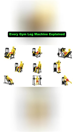 Every Gym Leg Machine Explained: Muscles, Benefits & Techniques