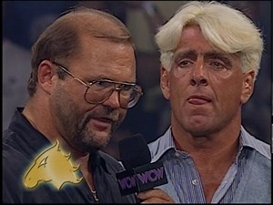 Ric Flair & The Four Horsemen (Video 2007)