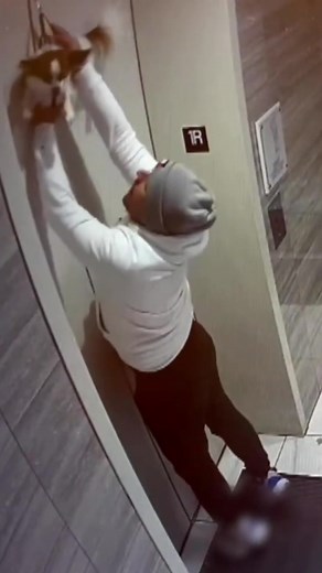 Man Rescues Dog Stuck in Elevator Doors | Heartwarming Animal Rescue