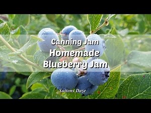 Canning Homemade Blueberry Jam