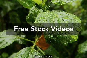 Health Background Videos, Download The BEST Free 4k Stock Video Footage & Health Background HD Video Clips