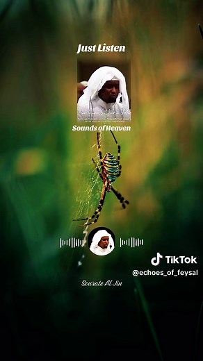 Sourate Al Jin Beautiful Recitation by Sheikh Imam Feysal Muhammad