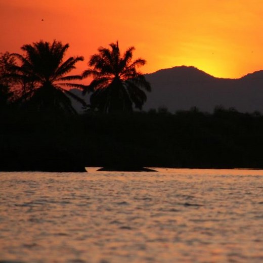 CONOCE TODO ACERCA DEL GRAN LAGO VICTORIA EN ÁFRICA.