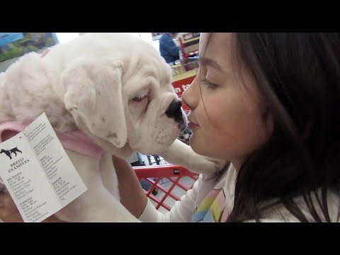 Shopping with Winnie (WK 208.6) | Bratayley