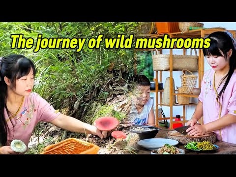 Treasures of the green forest: green head mushroom, broom mushroom, red mushroom, egg mushroom