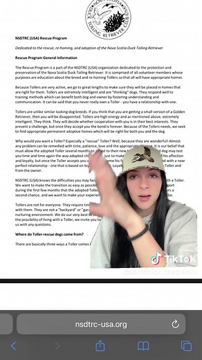 Understanding the Nova Scotia Duck Tolling Retriever