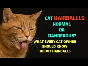What Is a Hairball in Cats? Why Do Cats Throw Up Hairballs?