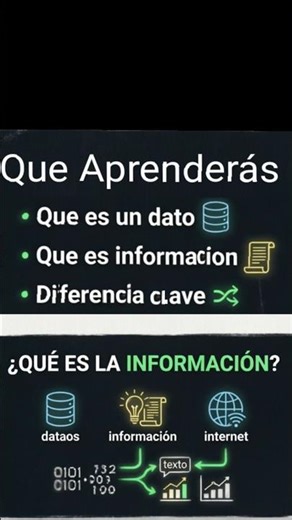 Capítulo 2: Qué es la Información Nivel 1