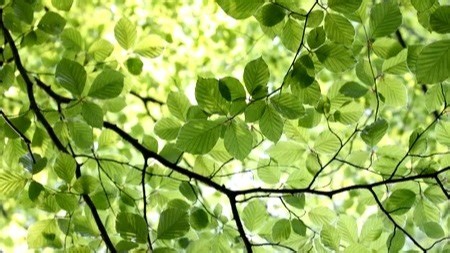 松下冰箱显示H1怎么办松下冰箱维修中心|24小时全国统一售后受理中心电话4008884959