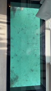 Mermaid found swimming under glass floor 👀 #sirencore #professionalmermaid #mermaidtail #mermaidlife #mermaidcore #mermaid #siren #fantasy | Mermaid Sirenity