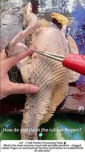 Portable Chicken Plucker – Quick Feather Removal Made Easy 🐔⚙️