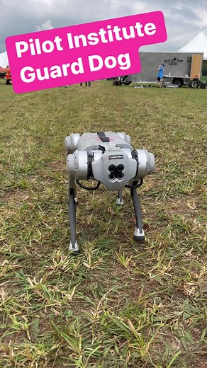 PI has a new guard dog at their tent! I wonder if would fly? 😏 Pilot Institute #flitetest #flitefest | Flite Test