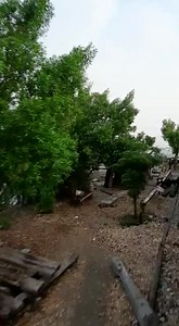 Water Train |Train Running On water #pakistanrailways #rain #shorts | Pak Rail Track
