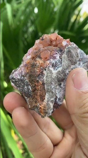 🔥INSANE Pink Cobaltocalcite Crystals 😳 Morocco Mineral Find!