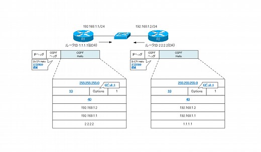 OSPF Hello Packet | N-Study
