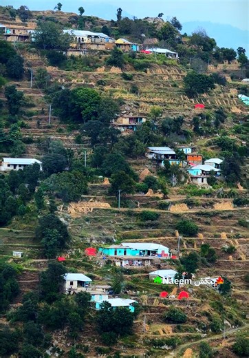 Green Oghi: Uniquely Authentic Taste from Mansehra