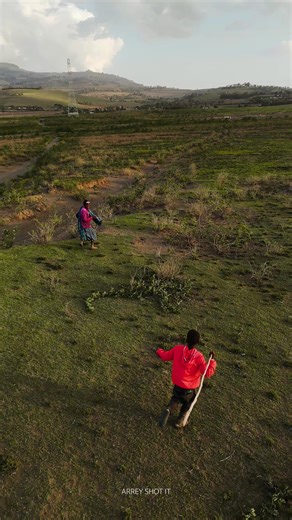Birds Singing in Nature: A Beautiful African Experience