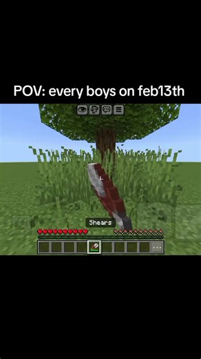 POV: Every Boy's Minecraft Adventure on February 13