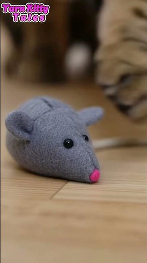 Cat Dramatically Slapping a Toy Mouse