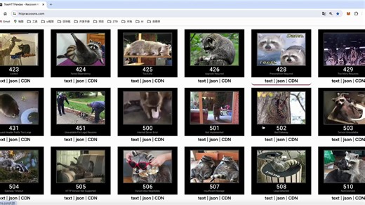 前端HTTP状态码调试