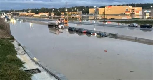 Family killed after heavy rainfall topples tree onto car in Tennessee